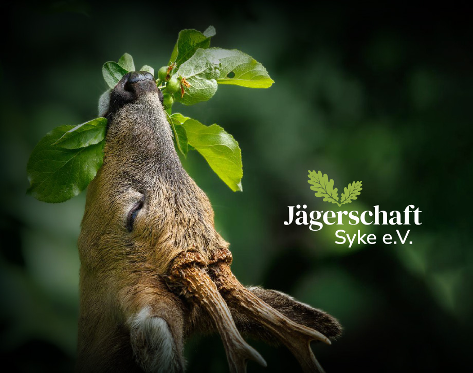Jägerschaft Syke